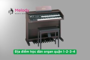 Địa điểm học đàn organ quận 1-2-3-4 uy tín chất lượng