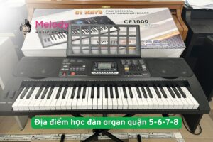 Địa điểm học đàn organ quận 5-6-7-8 uy tín và chất lượng