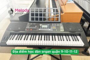 Địa điểm học đàn organ quận 9-10-11-12 uy tín chất lượng