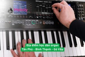 Địa điểm học đàn organ Tân Phú, Bình Thạnh và Gò Vấp