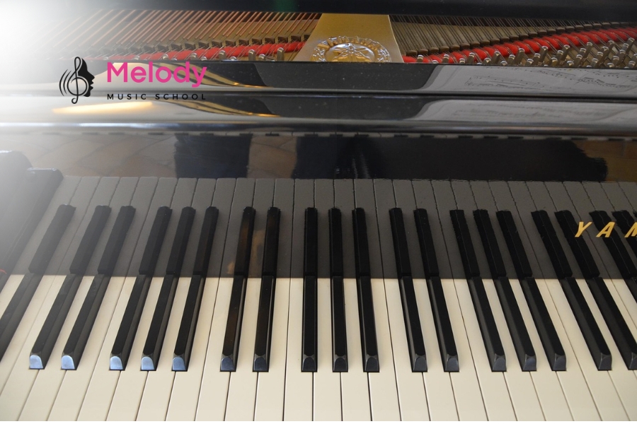 Địa Điểm Học Đàn Piano Huyện Nhà Bè-Bình Chánh Uy Tín 9 Melody cung cấp đa dạng đàn piano chất lượng phù hợp cho mọi trình độ học viên