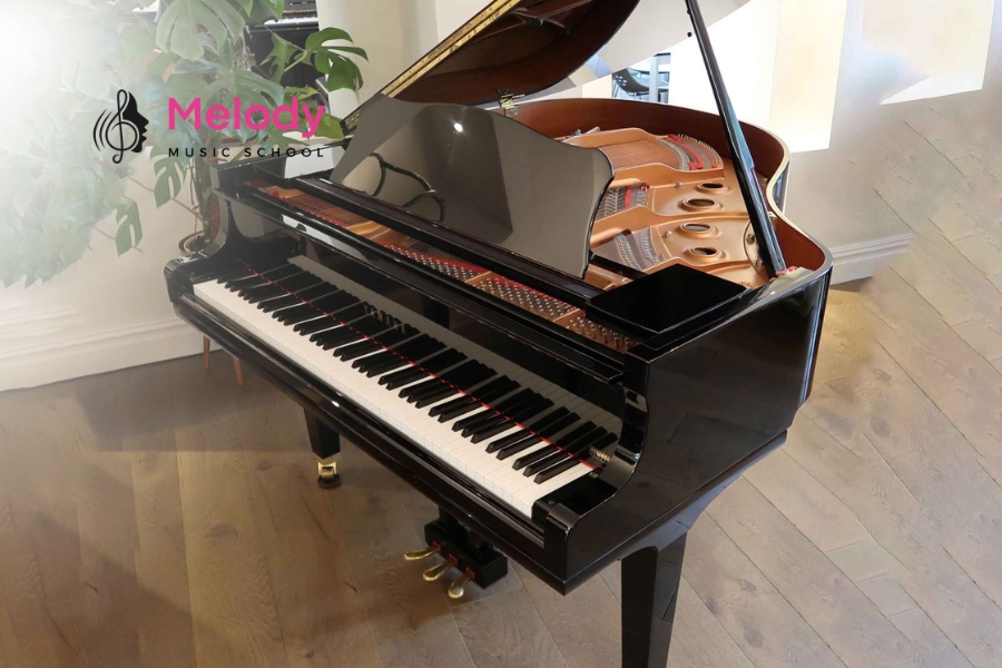 Địa Điểm Học Đàn Piano Tại Quận 11 Uy Tín Chất Lượng 9 Đàn piano là nhạc cụ phổ biến với nhiều lựa chọn phù hợp cho người học mọi trình độ
