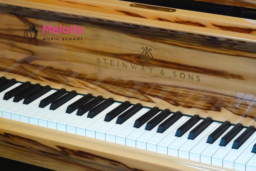 Địa Điểm Học Đàn Piano Tại Quận 8 Uy Tín Chất Lượng 13 Piano là nhạc cụ phổ biến với nhiều lựa chọn phù hợp từng nhu cầu người chơi