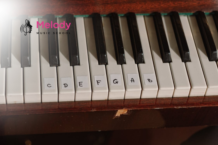Địa Điểm Học Đàn Piano Quận Gò Vấp Uy Tín Chất Lượng 9 Melody giới thiệu đàn piano và tư vấn chọn loại đàn phù hợp với người học
