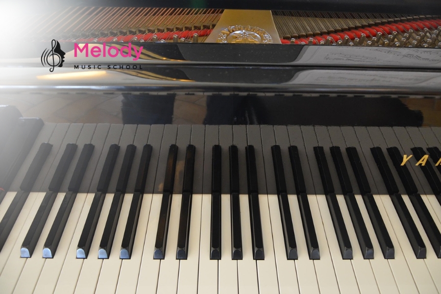 Địa Điểm Học Đàn Piano Quận Thanh Xuân Uy Tín Chất Lượng 12 Tập piano tại Melody Thanh Xuân giúp học viên phát triển kỹ năng toàn diện và cá nhân hóa