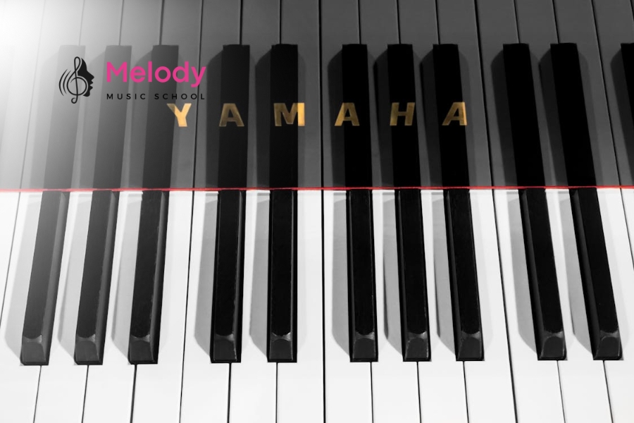 Địa Điểm Học Đàn Piano Quận Thủ Đức Uy Tín Chất Lượng 9 Melody giới thiệu các loại đàn piano và tư vấn chọn đàn phù hợp cho người học nhạc