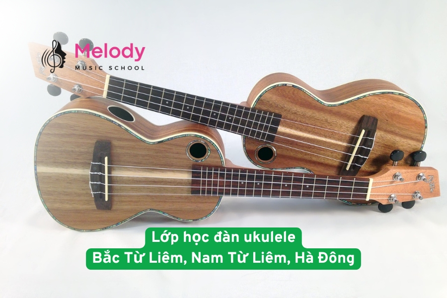 Lớp học đàn ukulele Bắc Từ Liêm, Nam Từ Liêm, Hà Đông