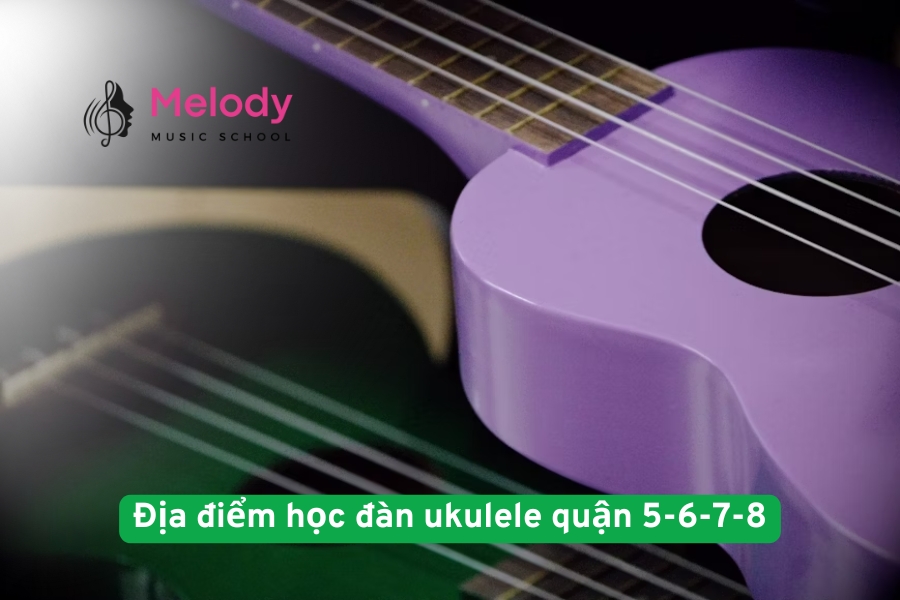 Địa điểm học đàn ukulele quận 5-6-7-8 uy tín nhất