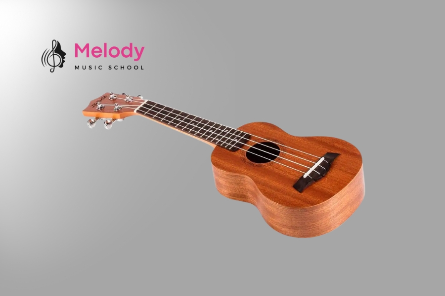 Lớp Học Đàn Ukulele Quận Tân Phú-Bình Thạnh-Gò Vấp 9 Đàn ukulele là nhạc cụ dây Hawaii với nhiều loại phù hợp từng trình độ chơi