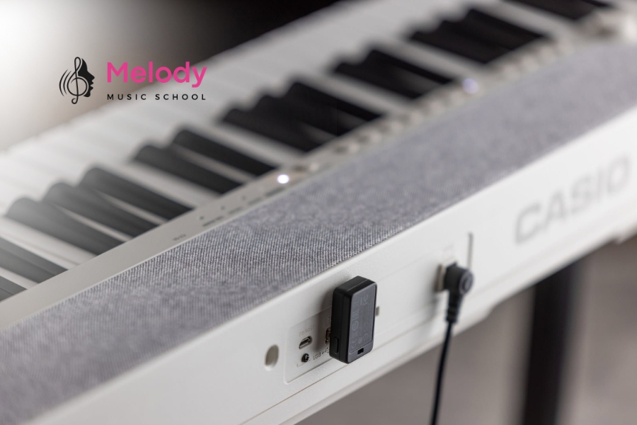 Cách Chọn Đàn Organ Cho Người Mới Bắt Đầu 5 Đàn organ Casio dễ dùng, giá hợp lý, nhiều mẫu phù hợp cho người mới và trẻ em