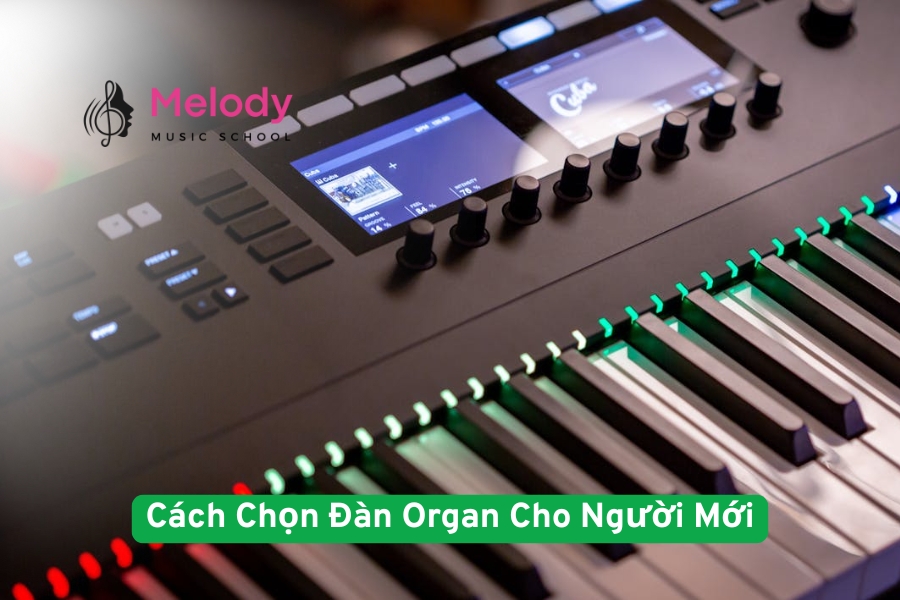 Cách Chọn Đàn Organ Cho Người Mới Bắt Đầu Chuẩn Nhất