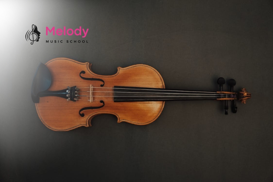 Cách Chọn Violin Cho Người Mới Chi Tiết Nhất 9 Chọn đúng đàn violin giúp người mới học chơi thoải mái, đúng tư thế và phát triển kỹ thuật