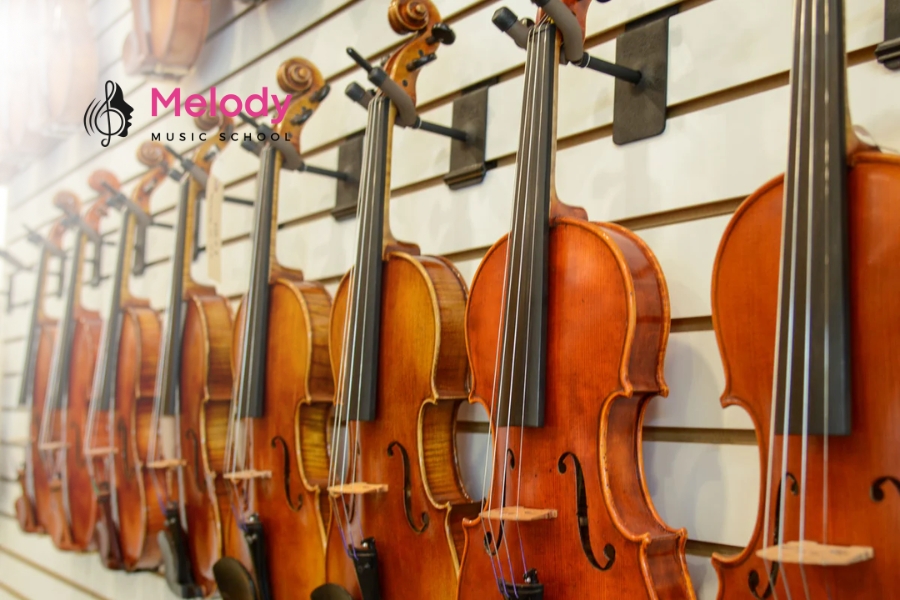Cách Chọn Violin Cho Người Mới Chi Tiết Nhất 10 Người mới học nên chọn violin phù hợp ngân sách và mục tiêu, từ 2 đến 10 triệu đồng