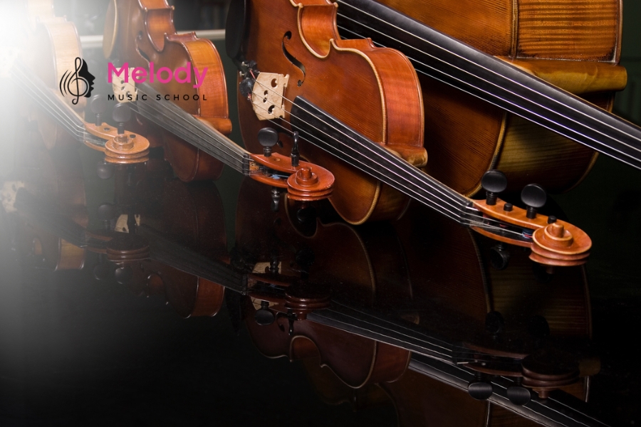 Cách Chọn Violin Cho Người Mới Chi Tiết Nhất 12 Phụ kiện đi kèm như vĩ, hộp đựng, gối đàn và tuner giúp bảo vệ đàn và hỗ trợ người mới chơi hiệu quả