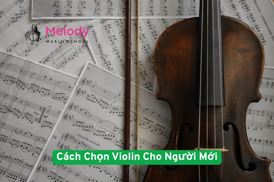 Cách Chọn Violin Cho Người Mới Chi Tiết Nhất
