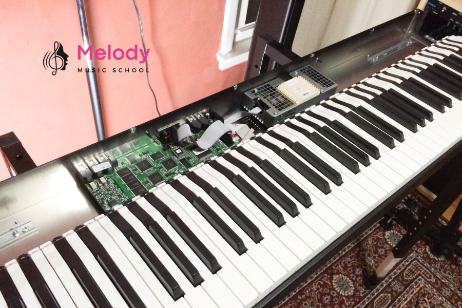 Cách Khắc Phục Lỗi Phím Đàn Piano Điện Nhanh 13 Dụng cụ cần có gồm khăn mềm, tua vít nhỏ, nhíp, khí nén, đèn pin và dung dịch vệ sinh
