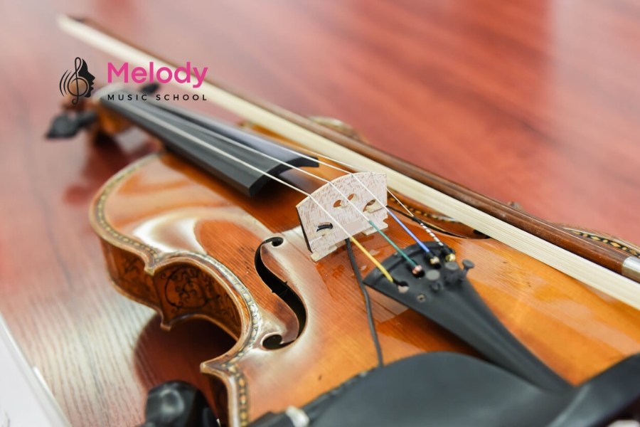 Cách Thay Dây Violin Tại Nhà Dễ Dàng, Chi Tiết 10 Nếu chốt dây không vào được tailpiece, hãy kiểm tra kích thước chốt và lỗ gắn, tránh ép mạnh để không làm hỏng đàn