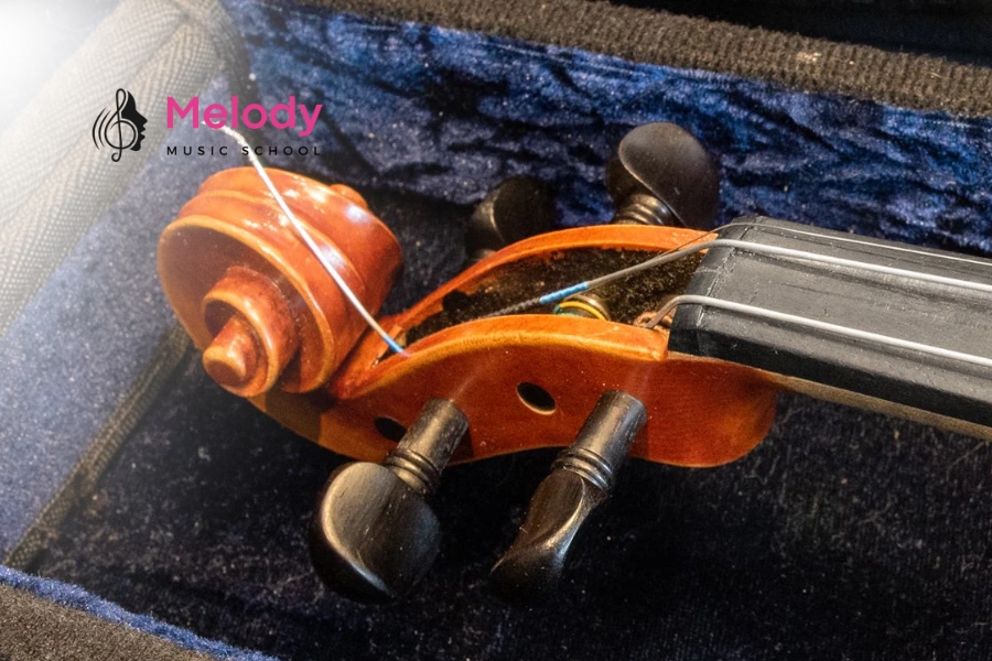 Cách Thay Dây Violin Tại Nhà Dễ Dàng, Chi Tiết 11 Tiếng lạch cạch sau khi thay dây thường do ống bảo vệ lỏng, fine tuner lỏng hoặc dây quá thấp