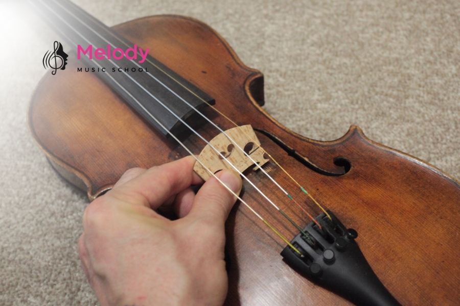 Cách Thay Dây Violin Tại Nhà Dễ Dàng, Chi Tiết 12 Nên thay dây violin theo thứ tự G-D-A-E để giữ cân bằng lực căng và ngừa lệch ngựa đàn