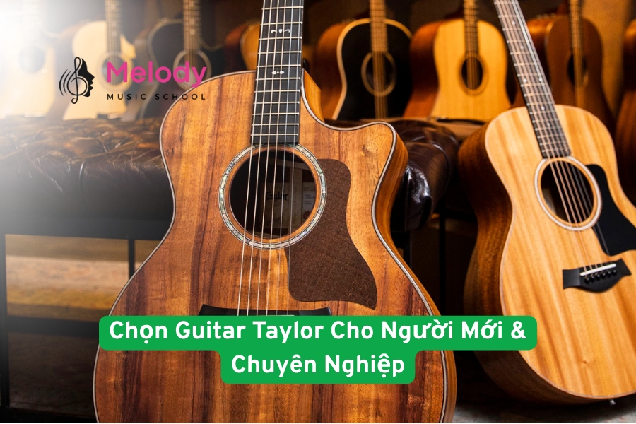 Chọn đàn Taylor đúng dòng giúp người chơi ở mọi trình độ tận hưởng âm thanh đỉnh cao