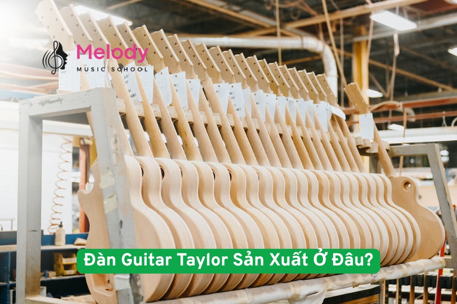 Đàn Guitar Taylor Sản Xuất Ở Đâu?