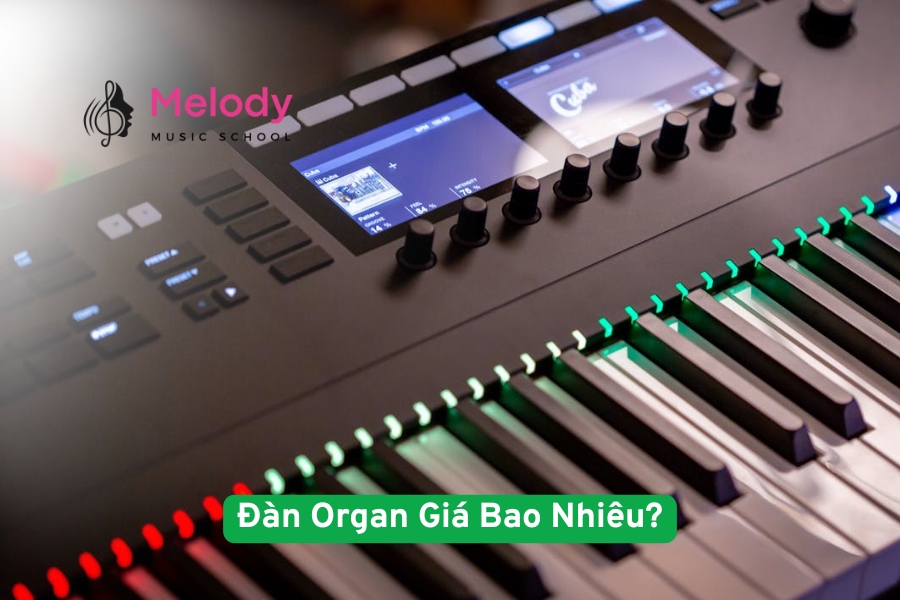 Đàn Organ Giá Bao Nhiêu Dùng Được? Xem Ngay Để Được Tư Vấn