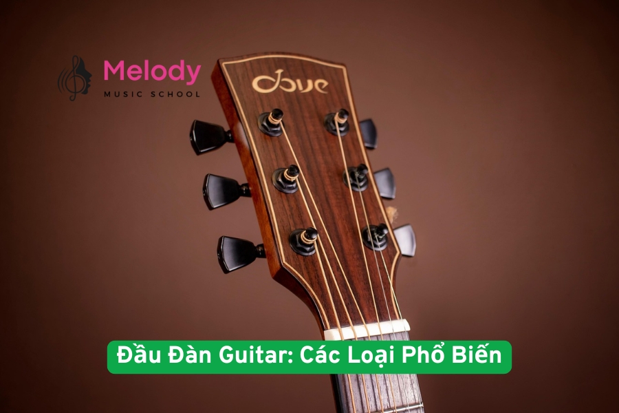 Đầu Đàn Guitar: Các Loại Phổ Biến & Cách Chọn Đúng