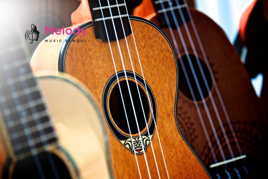 Dây Nylon Cho Guitar Acoustic Thép: Có Nên Dùng Không? 14 Nhạc Viện Melody khuyên người mới học guitar luyện tập đều đặn, điều chỉnh action và chọn dây nhẹ