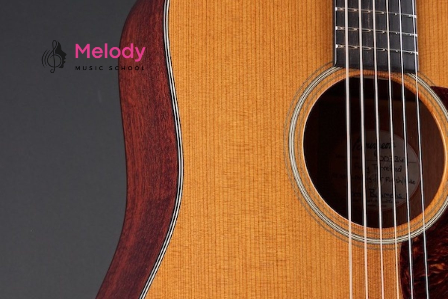 Gỗ Làm Guitar Phổ Biến: Ảnh Hưởng Đến Âm Thanh Ra Sao? 12 Gỗ Cedar cho âm ấm áp, dịu dàng, lý tưởng cho guitar classic và fingerstyle nhẹ nhàng