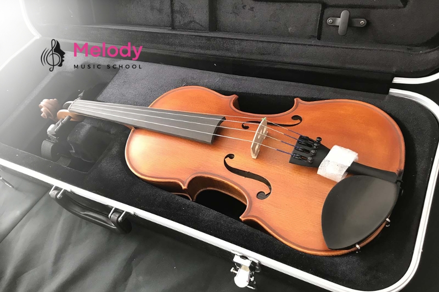 Gỗ Tốt Nhất Cho Violin &Amp; Bí Quyết Chọn Đàn 9 Gỗ quyết định độ cộng hưởng, độ bền và chất âm đặc trưng của violin