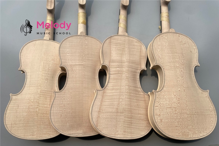 Gỗ Tốt Nhất Cho Violin &Amp; Bí Quyết Chọn Đàn 10 Gỗ Vân Sam được chọn làm mặt đàn violin nhờ khả năng cộng hưởng vượt trội