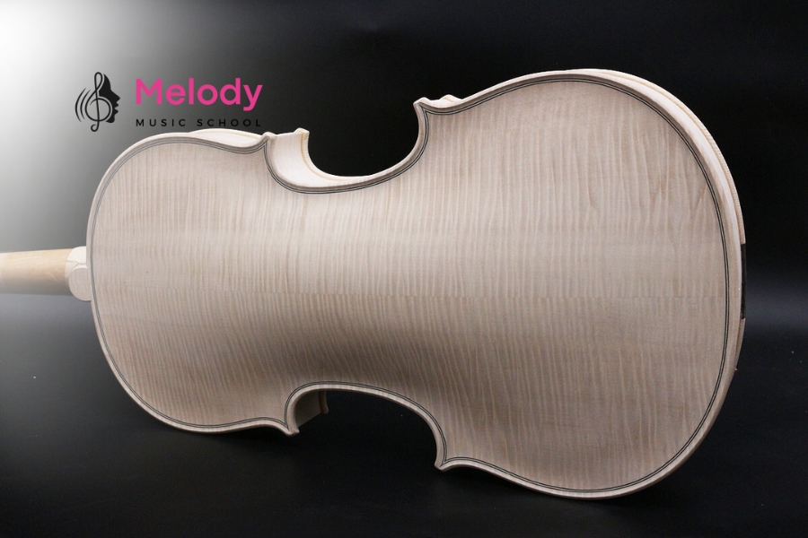 Gỗ Tốt Nhất Cho Violin &Amp; Bí Quyết Chọn Đàn 11 Gỗ Thích được dùng cho thân và cổ đàn violin nhờ độ bền và âm sắc ấm