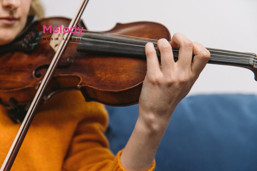 Gỗ Tốt Nhất Cho Violin &Amp; Bí Quyết Chọn Đàn 13 Chất lượng gỗ quyết định cấp độ và âm thanh của đàn violin ở từng phân khúc