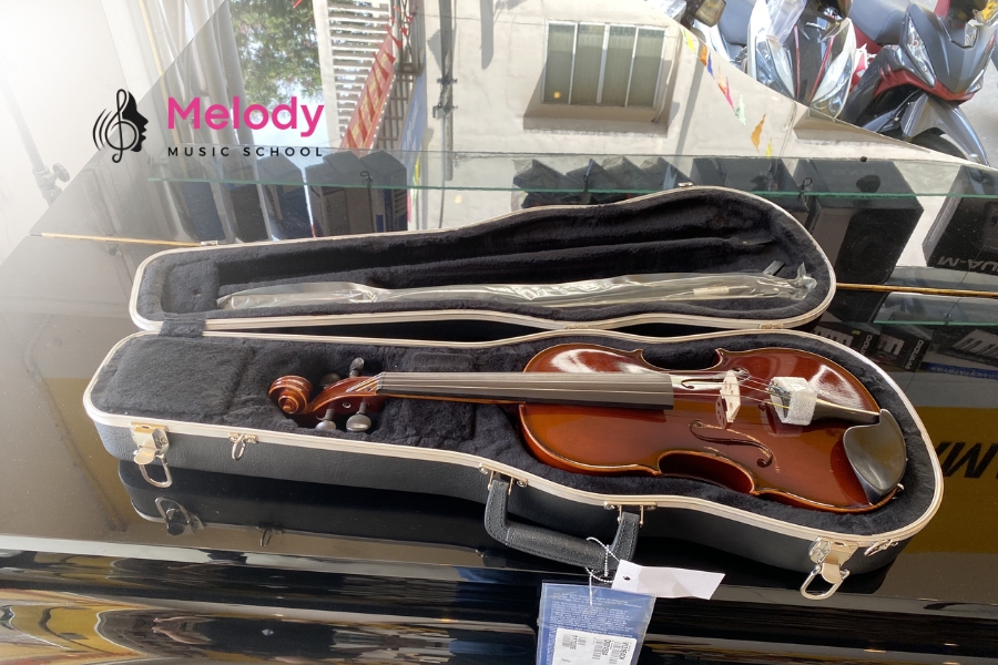 Gỗ Tốt Nhất Cho Violin &Amp; Bí Quyết Chọn Đàn 15 Nhạc Viện Melody dạy violin và tư vấn chọn đàn phù hợp theo chất lượng gỗ