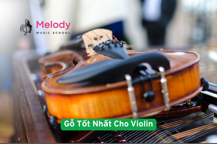 Gỗ Tốt Nhất Cho Violin & Bí Quyết Chọn Đàn