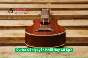 Guitar Gỗ Nguyên Khối Hay Gỗ Ép: Nên Chọn Loại Nào? 13 Guitar Gỗ Nguyên Khối Hay Gỗ Ép: Nên Chọn Loại Nào?