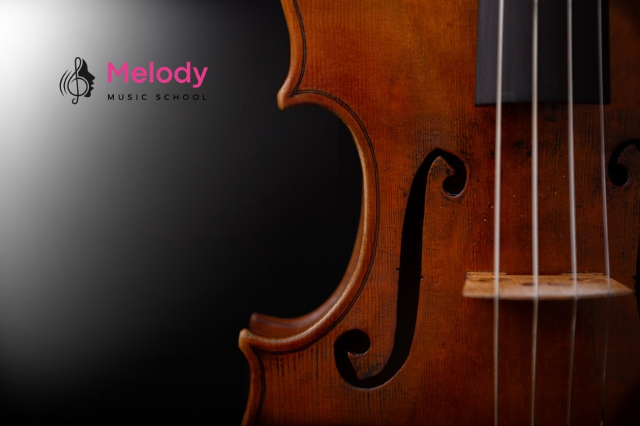 Hướng Dẫn Tư Thế Chơi Violin Chuẩn Người Mới 12 Tư thế sai khi chơi violin gây căng cơ và giảm kỹ thuật, cần soi gương và điều chỉnh khi luyện tập