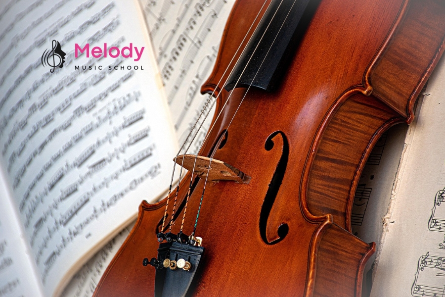 Khám Phá Cấu Tạo Đàn Violin (Vĩ Cầm) Chi Tiết 13 Thân đàn violin rỗng giúp khuếch đại âm, gồm mặt trước, sau và bên từ gỗ tốt