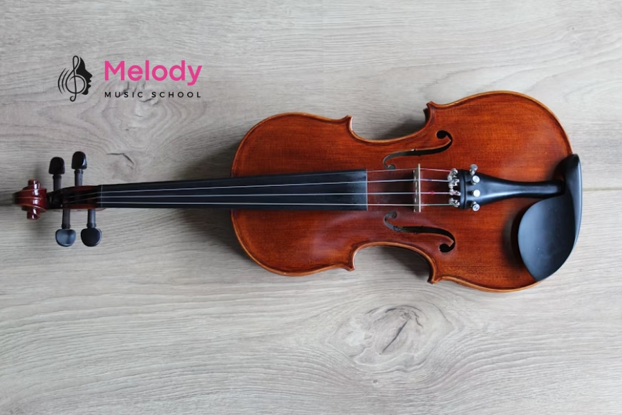 Khám Phá Cấu Tạo Đàn Violin (Vĩ Cầm) Chi Tiết 22 Sườn, trụ âm và bass bar giúp truyền âm; gỗ tốt quyết định chất lượng