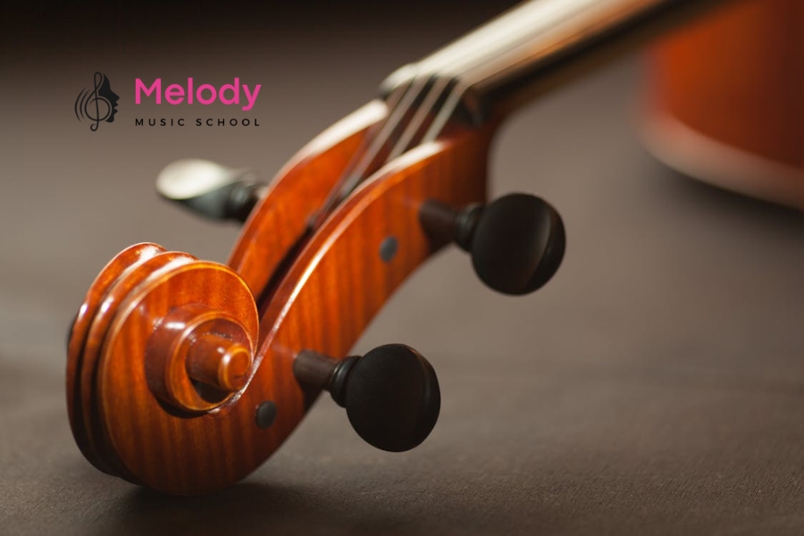 Khám Phá Cấu Tạo Đàn Violin (Vĩ Cầm) Chi Tiết 14 Cần đàn nối thân và đầu, pegbox giữ chốt dây, scroll là chi tiết trang trí xoắn ốc