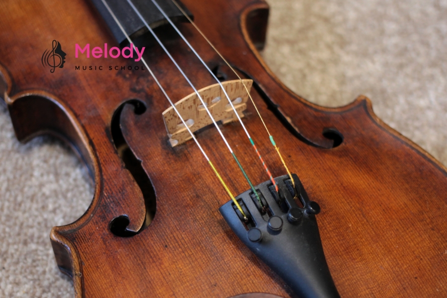 Khám Phá Cấu Tạo Đàn Violin (Vĩ Cầm) Chi Tiết 16 Violin có bốn dây G-D-A-E làm từ thép, nylon hoặc ruột với âm sắc khác nhau