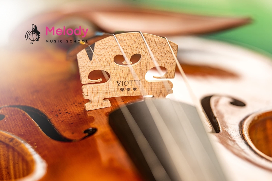 Khám Phá Cấu Tạo Đàn Violin (Vĩ Cầm) Chi Tiết 17 Ngựa đàn truyền rung động từ dây vào thân, ảnh hưởng trực tiếp đến âm thanh