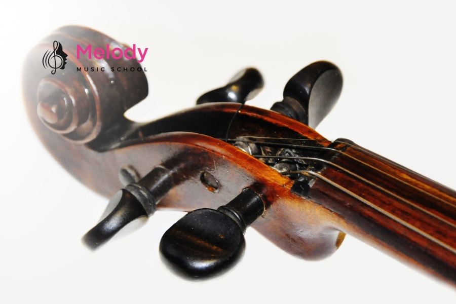Khám Phá Cấu Tạo Đàn Violin (Vĩ Cầm) Chi Tiết 18 Khóa đàn là chốt xoay chỉnh độ căng dây, làm từ gỗ cứng như ebony hoặc rosewood