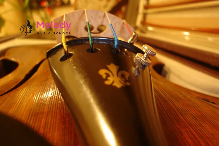 Khám Phá Cấu Tạo Đàn Violin (Vĩ Cầm) Chi Tiết 19 Tailpiece giữ dây đàn phía dưới và thường gắn fine tuners để chỉnh âm chính xác