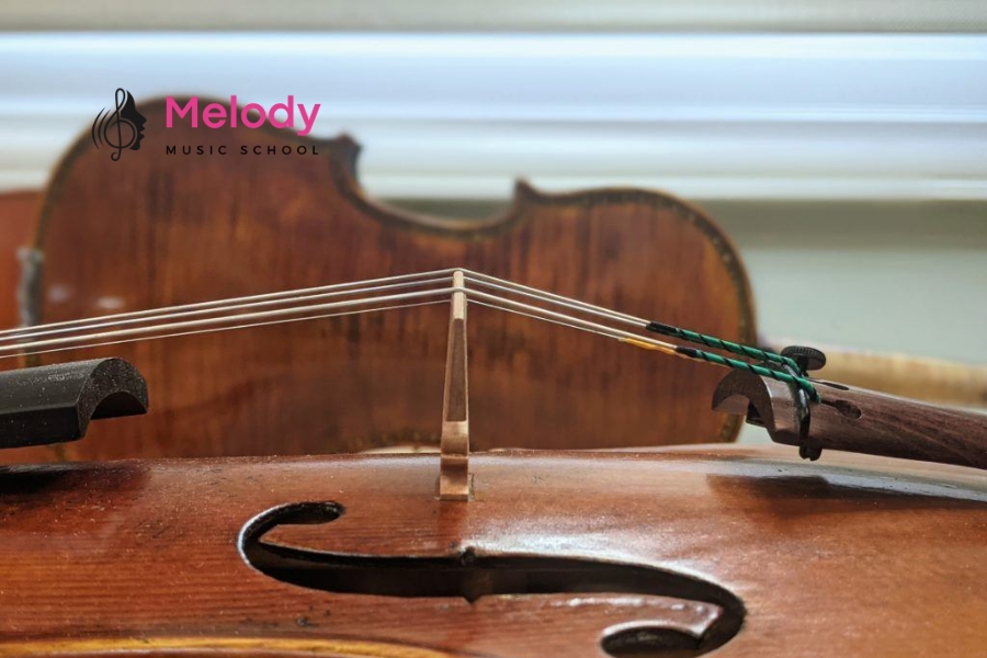 10+ Lỗi Chơi Violin Thường Gặp &Amp; Cách Sửa 15 Không chỉnh đúng cao độ làm sai vị trí ngón và ảnh hưởng cảm âm
