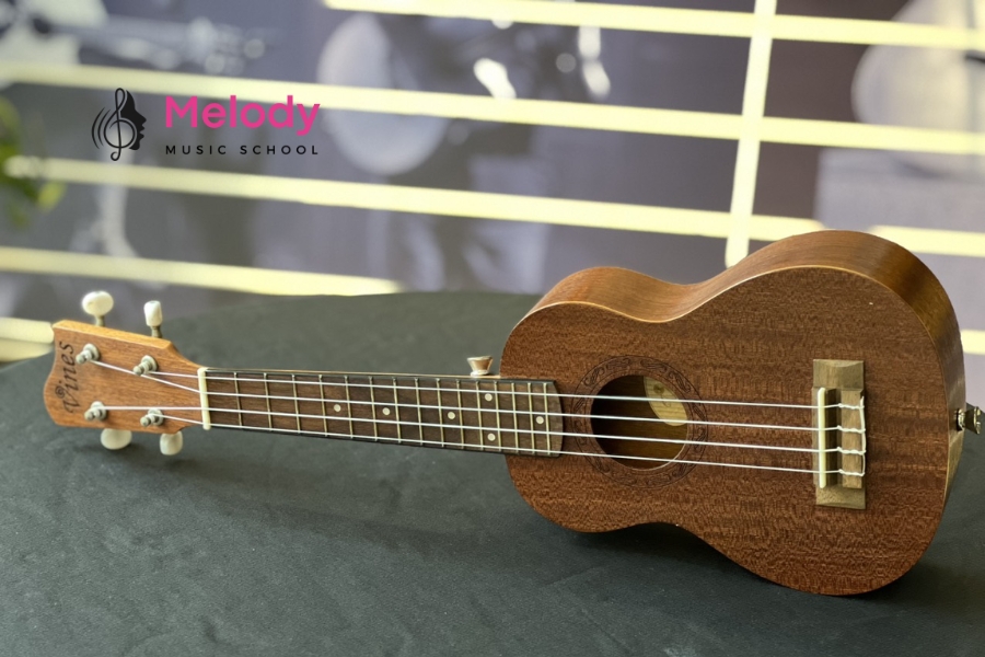 Lời Khuyên Mua Ukulele Đầu Tiên Người Mới 12 Ukulele Soprano nhỏ gọn, âm sáng, phù hợp cho trẻ em và người lớn tay nhỏ