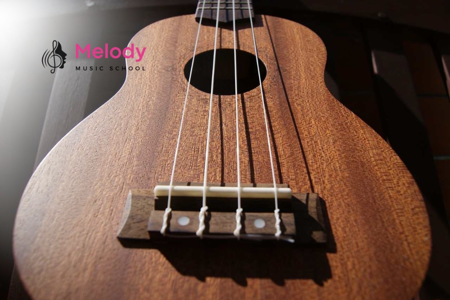 Lời Khuyên Mua Ukulele Đầu Tiên Người Mới 15 Ukulele Baritone âm trầm như guitar, phù hợp cho người đã có kinh nghiệm chơi đàn
