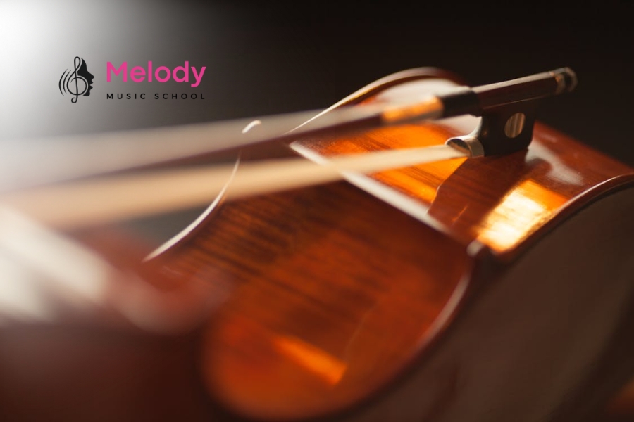 Mẹo Chăm Sóc &Amp; Bảo Quản Violin Đúng Chuẩn 13 Chăm sóc và chơi violin đúng cách cùng chuyên gia tại Nhạc Viện Melody