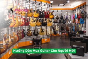 Mua Guitar Cho Người Mới: Hướng Dẫn Chọn Đúng Chuẩn 14 Mua Guitar Cho Người Mới: Hướng Dẫn Chọn Đúng Chuẩn