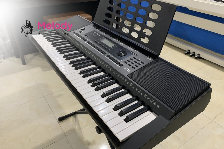 Nên Chọn Piano Điện Hay Organ Cho Người Mới? 11 Organ phù hợp cho người mới yêu thích âm nhạc đa dạng và dễ học đệm hát